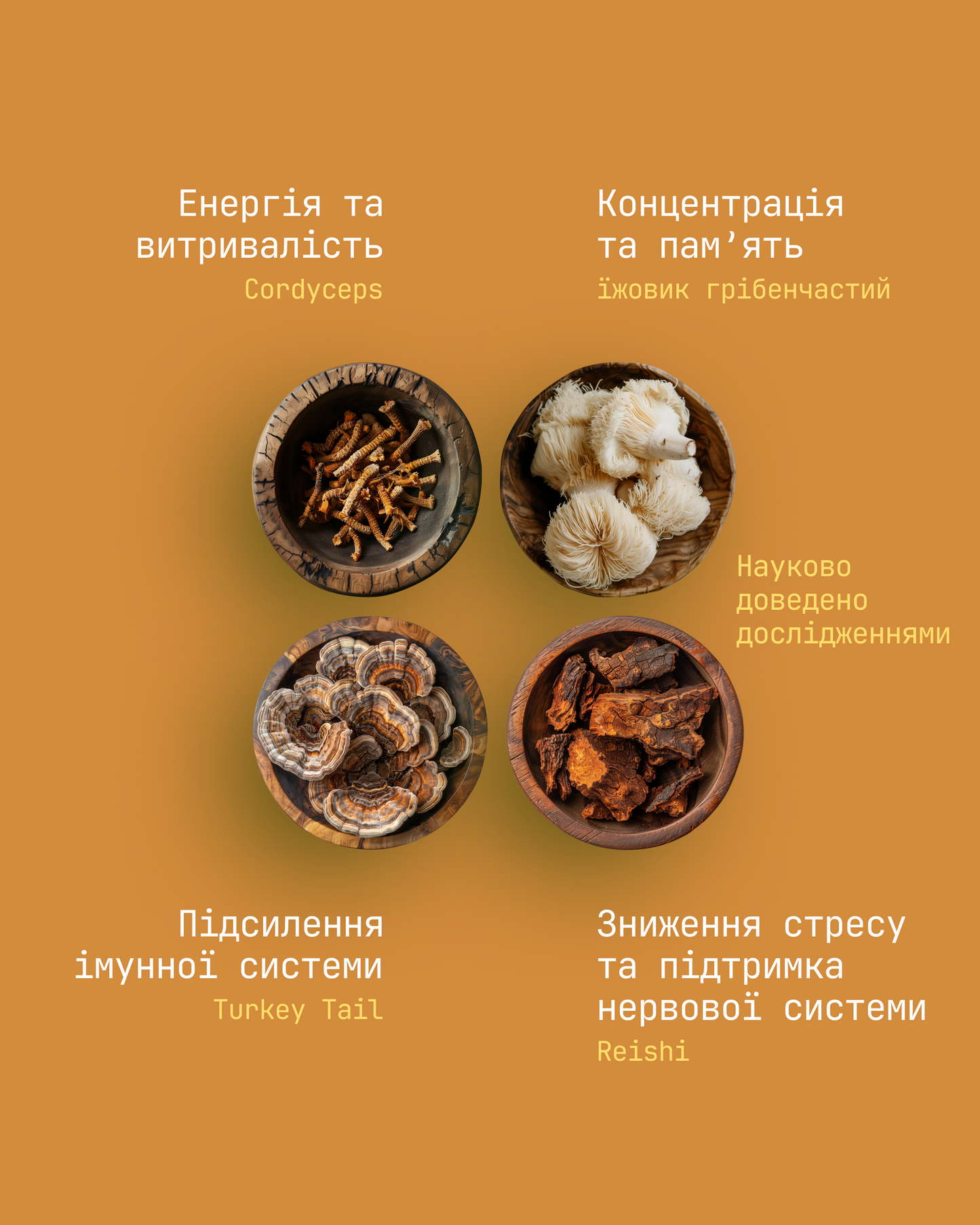 MUSHROOM COFFEE RÜTE DECAF
