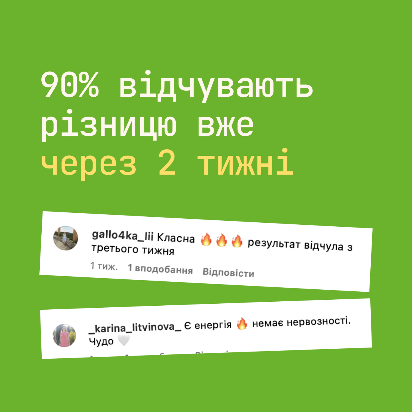 Mushroom Matcha Latte Rüte в стіках