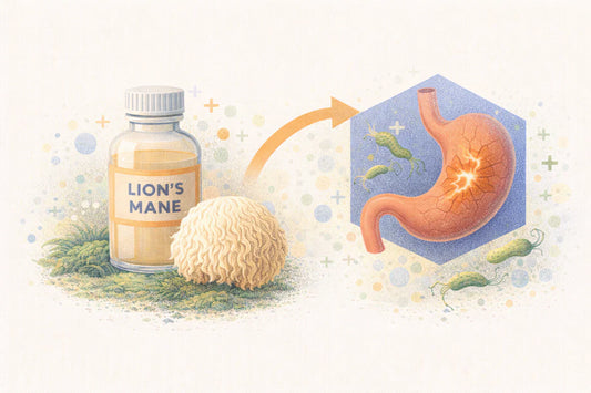 Дослідження властивостей їжовика грібінчастого у боротьбі зі збудником шлункових захворювань Helicobacter pylori.