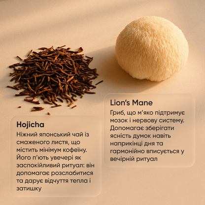 Day & Night / Focus Edition