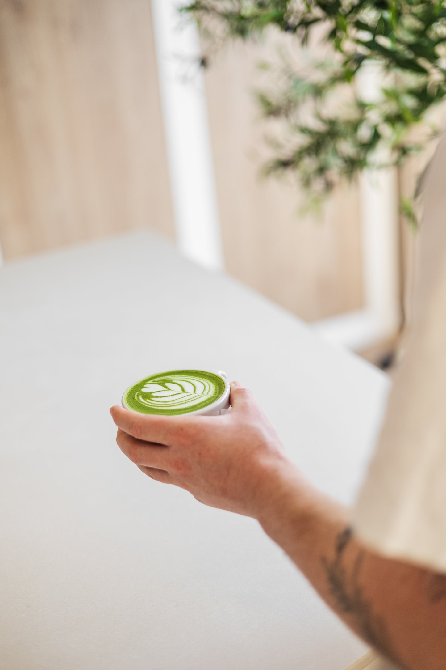 Ceremonial Matcha Grade A SHINYU