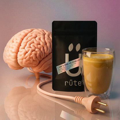 Brainbooster 2.0: Lion’s Mane 10 000 mg