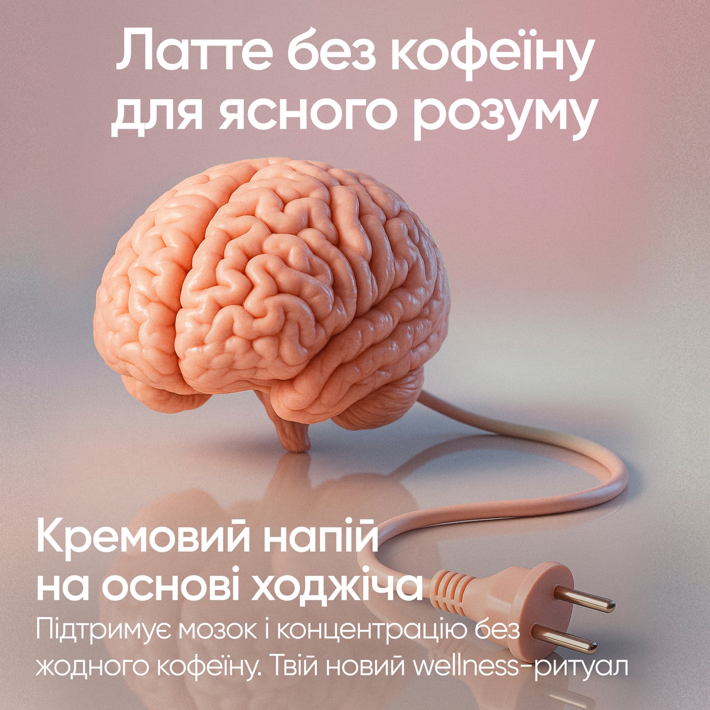 Brainbooster 2.0: Lion’s Mane 10 000 mg