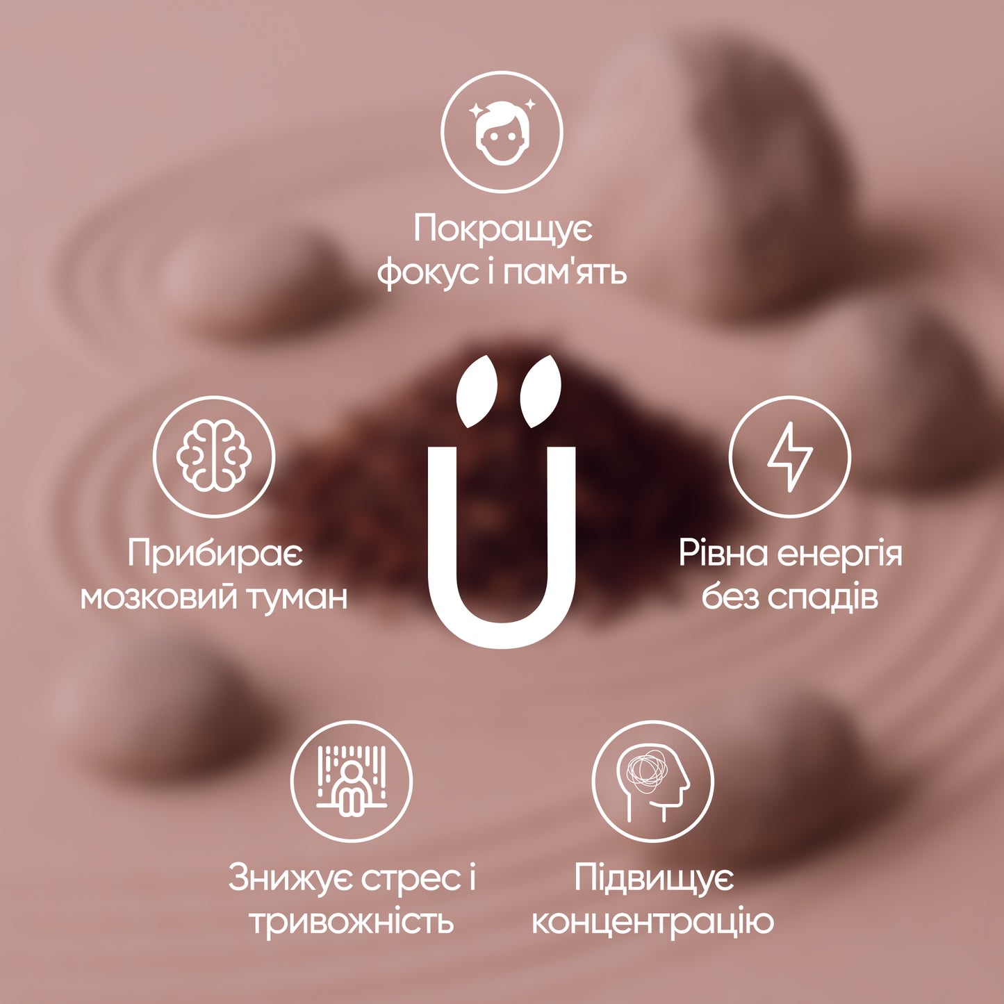 Brainbooster 2.0: Lion’s Mane 10 000 mg