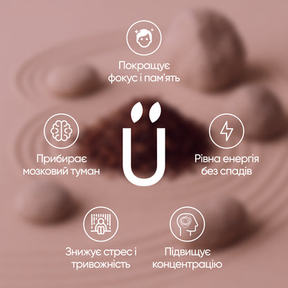 Brainbooster 2.0: Lion’s Mane 10 000 mg