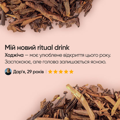 Brainbooster 2.0: Lion’s Mane 10 000 mg