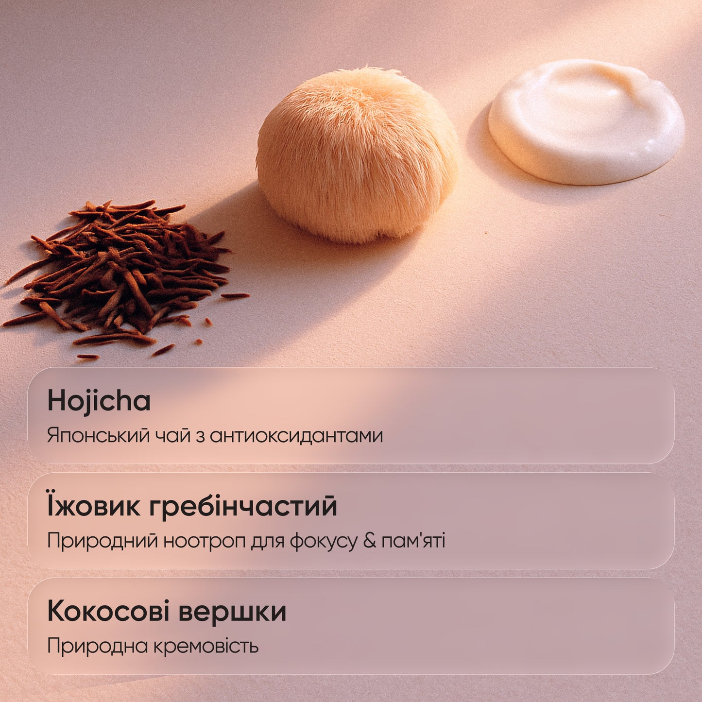 Brainbooster 2.0: Lion’s Mane 10 000 mg