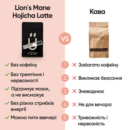 Brainbooster 2.0: Lion’s Mane 10 000 mg